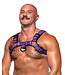 Dark Room | Leather Chest Harness