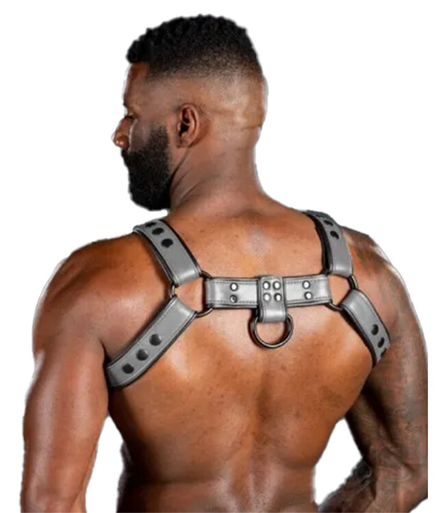 Dark Room | Leather Chest Harness