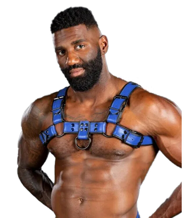 Dark Room | Leather Chest Harness