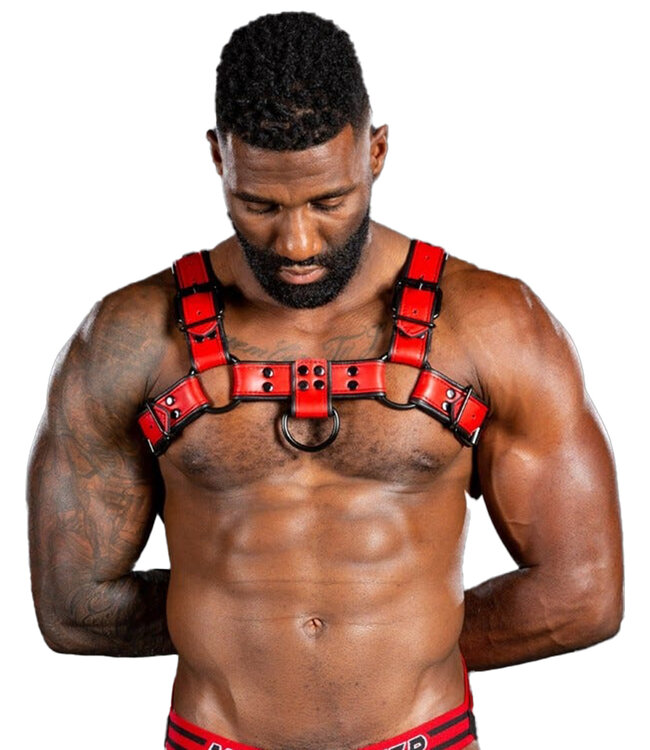 Dark Room | Leather Chest Harness