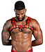Mr. S Leather Dark Room | Leather Chest Harness