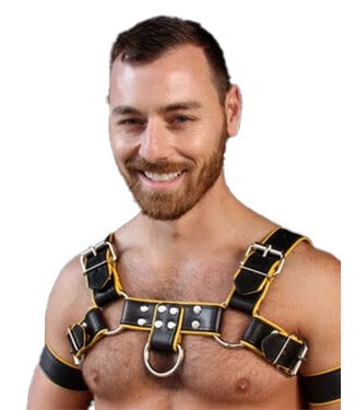 Mr. S Leather Bulldog Harness 2.0