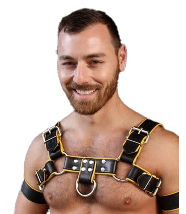 Bulldog Harness 2.0 Mr. S Leather