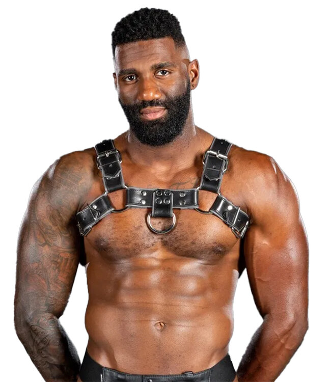Bulldog Harness 2.0 Mr. S Leather