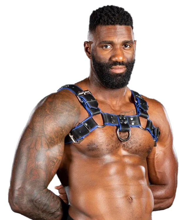 Bulldog Harness 2.0 Mr. S Leather