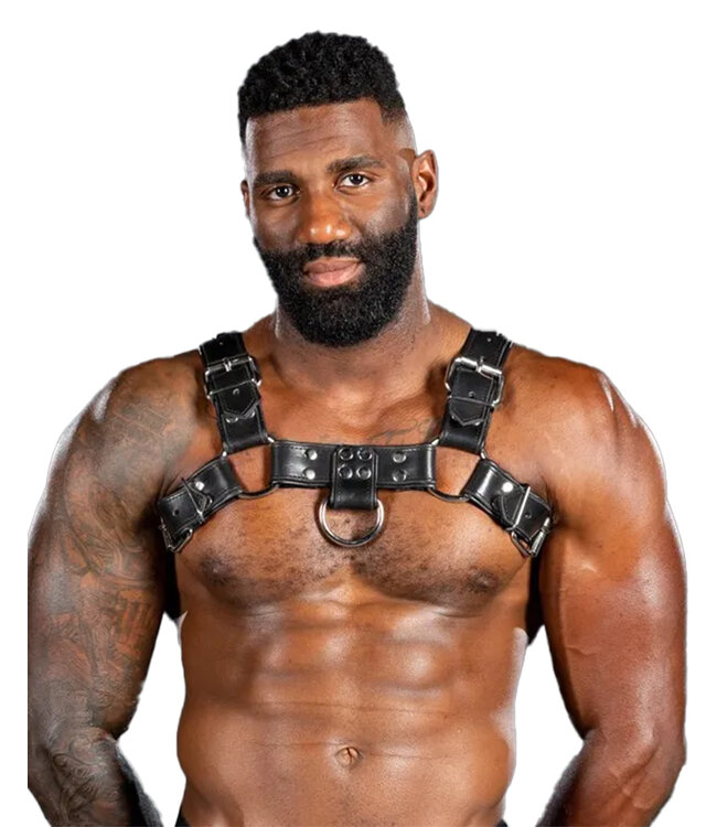 Bulldog Harness 2.0 Mr. S Leather