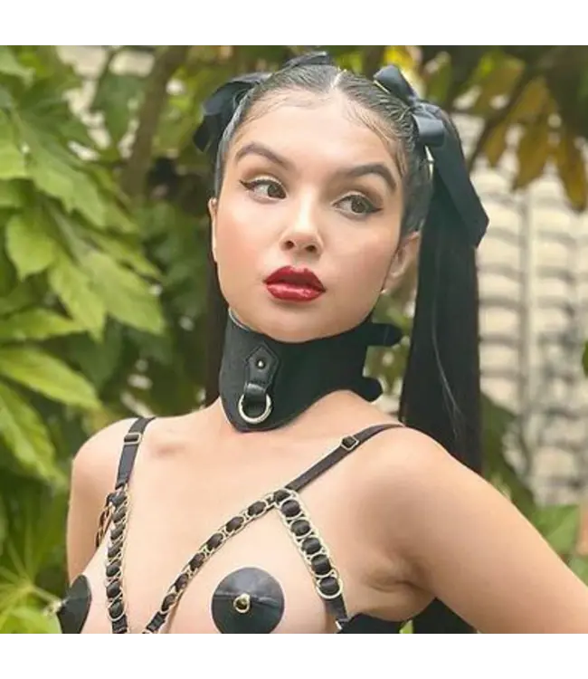 Pony Leather Posture Collar