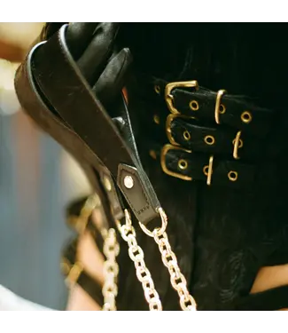 The model traitor Pony Leather Leash Black