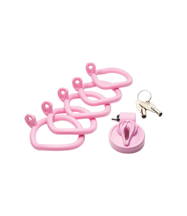 Vulva Locking Chastity Cage