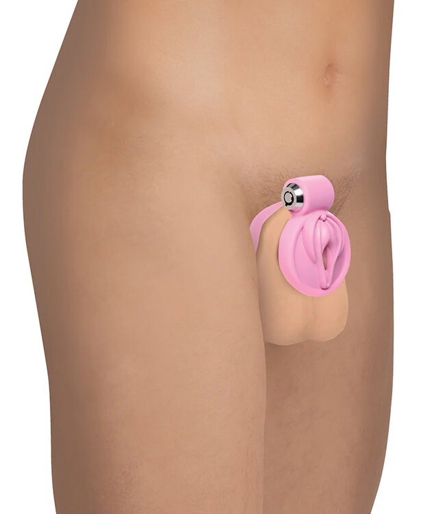 Vulva Locking Chastity Cage