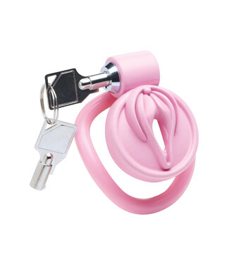 Master Series Vulva Locking Chastity Cage