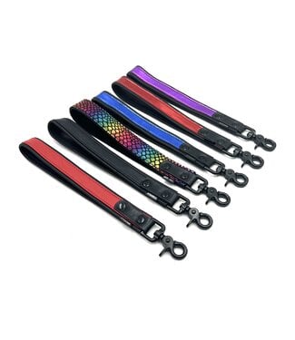 Spanked Bright Room Leather Leashes