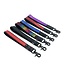 Bright Room Leather Leashes