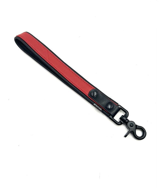 Bright Room Leather Leashes