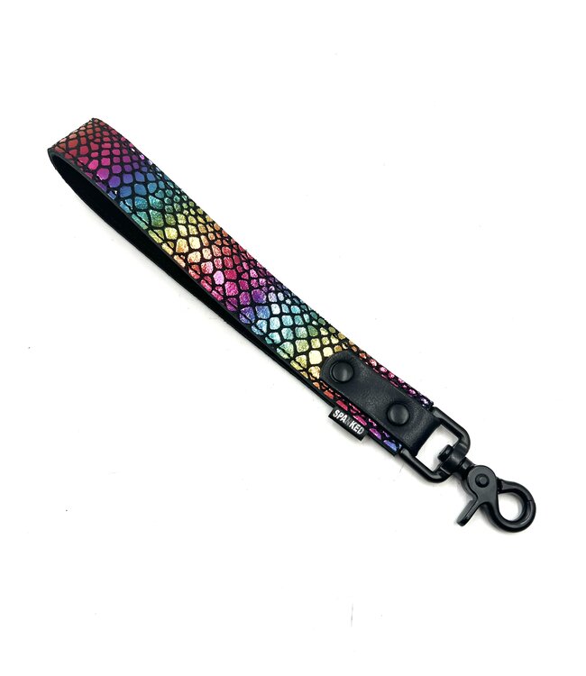 Bright Room Leather Leashes
