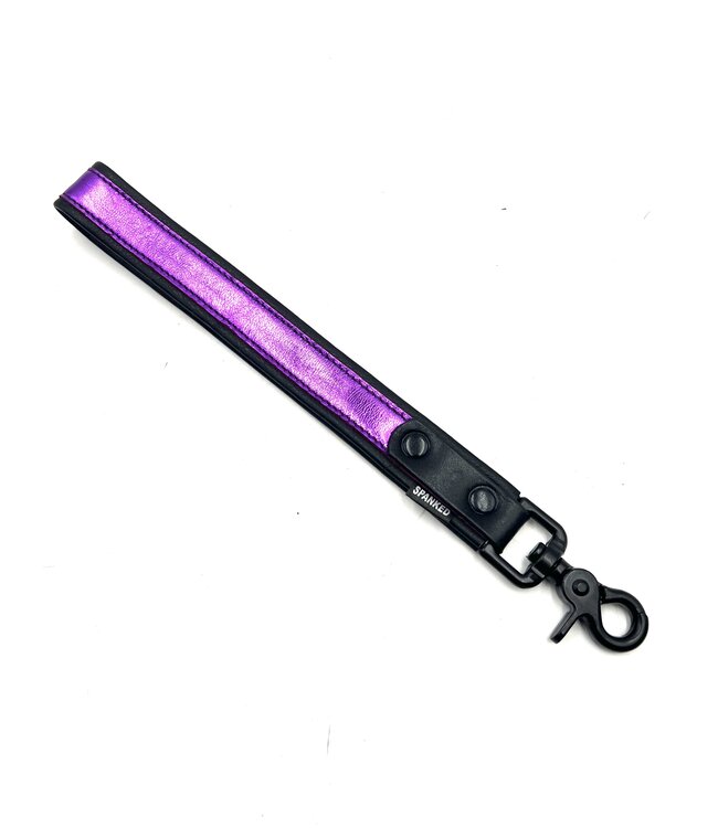 Bright Room Leather Leashes