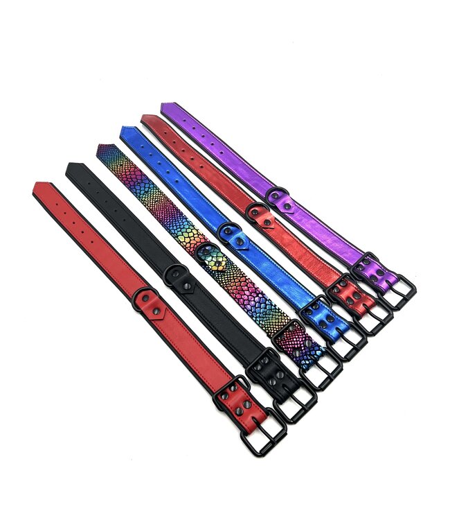 Bright Room Leather Collar