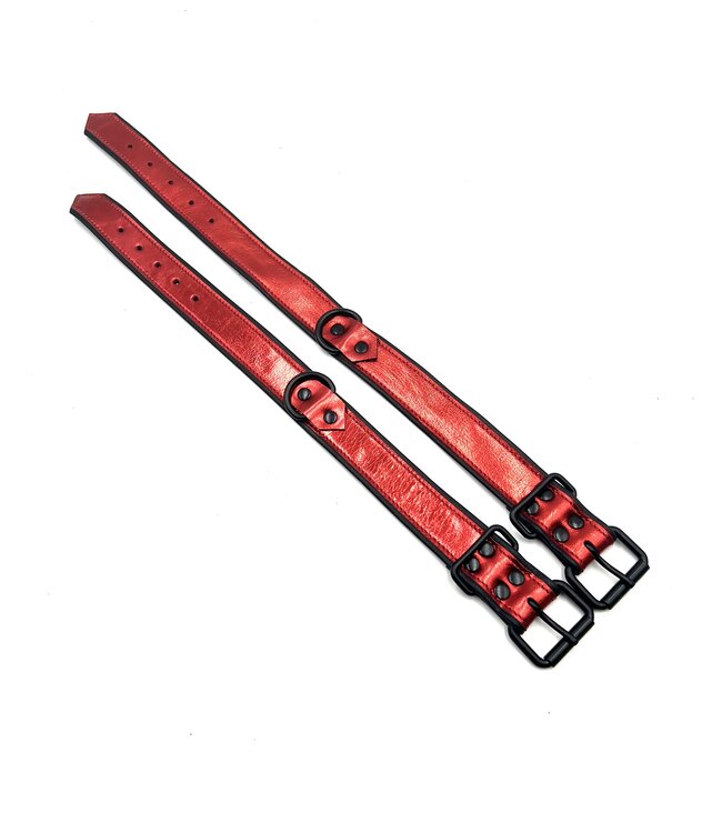 Bright Room Leather Collar