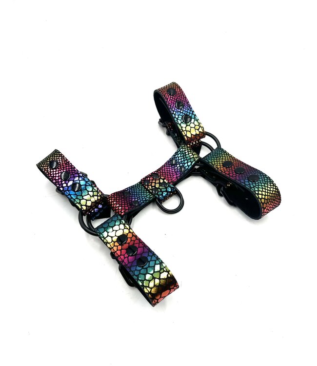 Pride Leather Harness