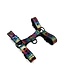 Pride Leather Harness