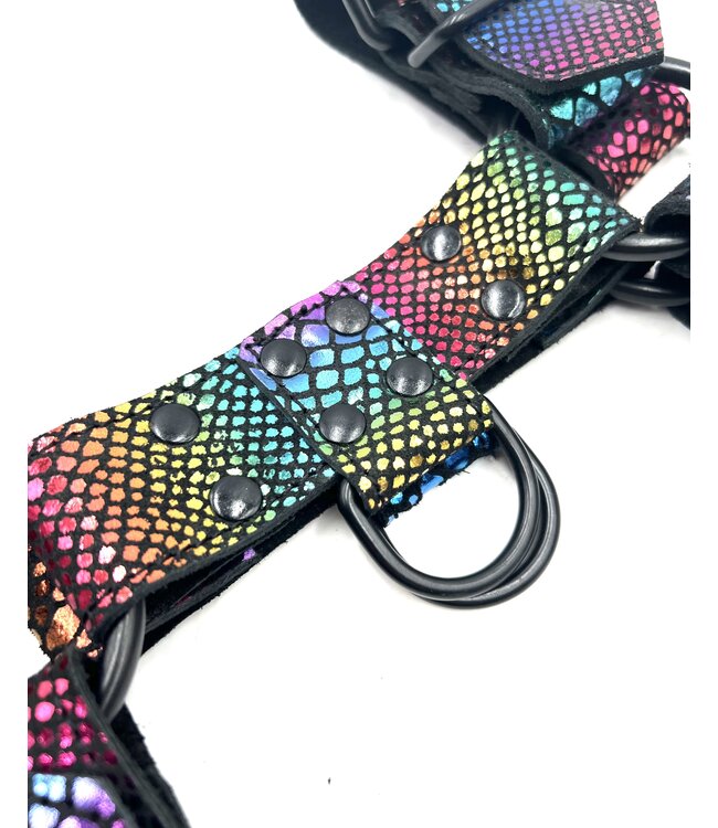 Pride Leather Harness