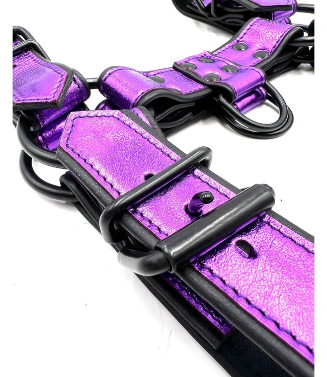 Bright Room Bulldog Leather Harness | Purple
