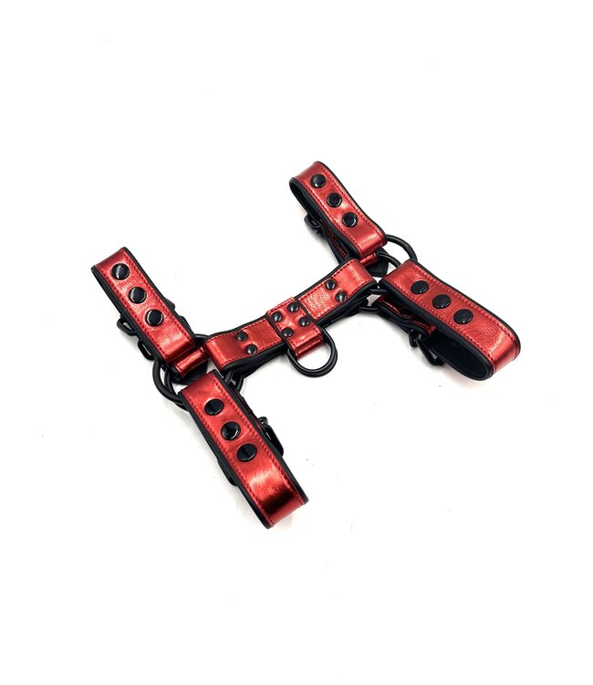 Bright Room Bulldog Leather Harness | Red