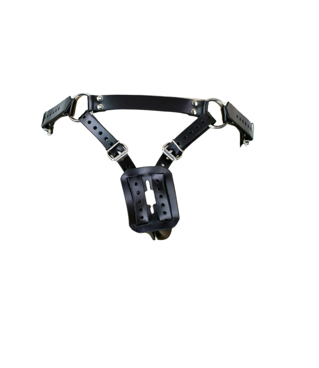 Unisex Leather Butt Plug Harness