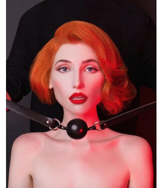 Bondesque BDSM 101