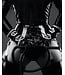 Bondesque Female Domination Workshop