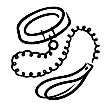 Collars & Leashes