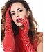 Long Vinyl Gloves
