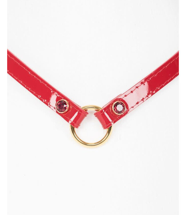 Red Hot Skinny  Collar | Glamour Kink