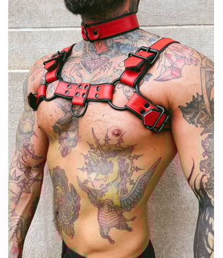 Spanked Macho Leather Bulldog Harness