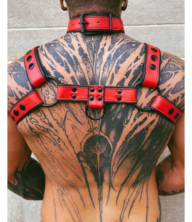 Macho Leather Bulldog Harness