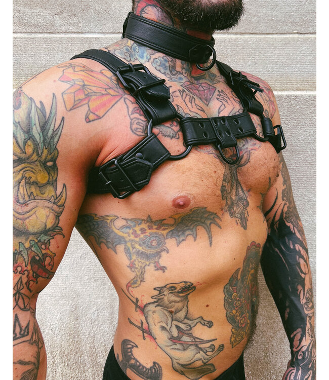 Macho Leather Bulldog Harness