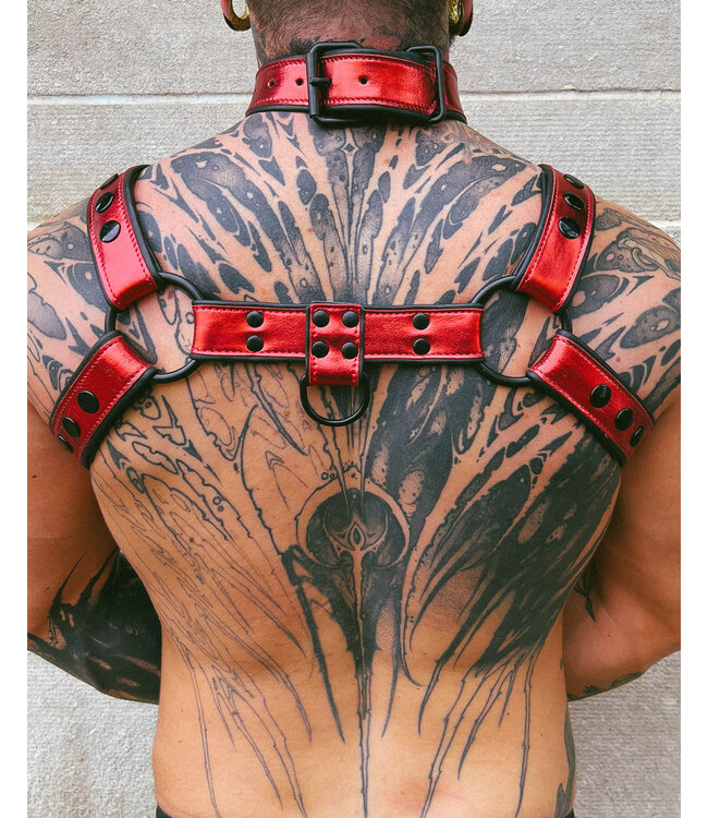 Bright Room Bulldog Leather Harness | Red