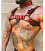 Bright Room Bulldog Leather Harness | Red