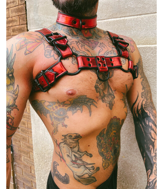Bright Room Bulldog Leather Harness | Red