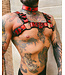 Bright Room Bulldog Leather Harness | Red