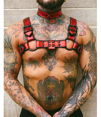 Spanked Bright Room Bulldog Leather Harness | Red