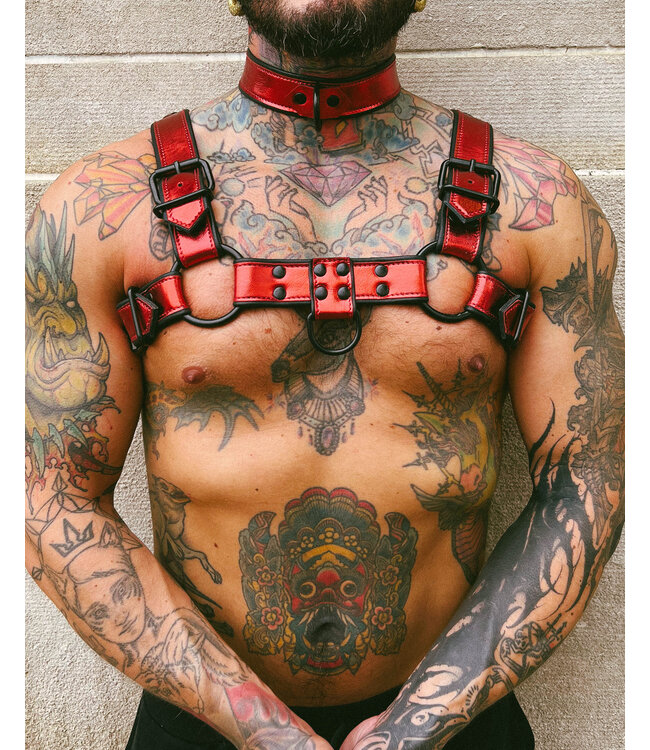 Bright Room Bulldog Leather Harness | Red