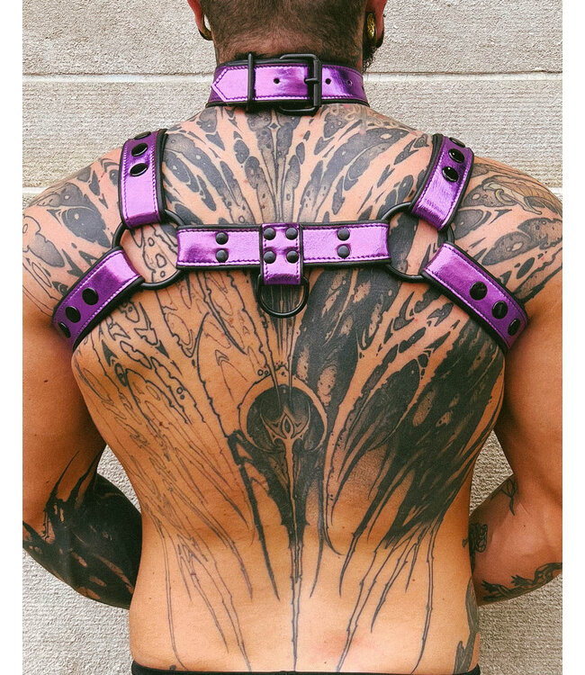Bright Room Bulldog Leather Harness | Purple