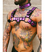 Spanked Bright Room Bulldog Leather Harness | Purple