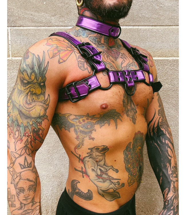 Bright Room Bulldog Leather Harness | Purple