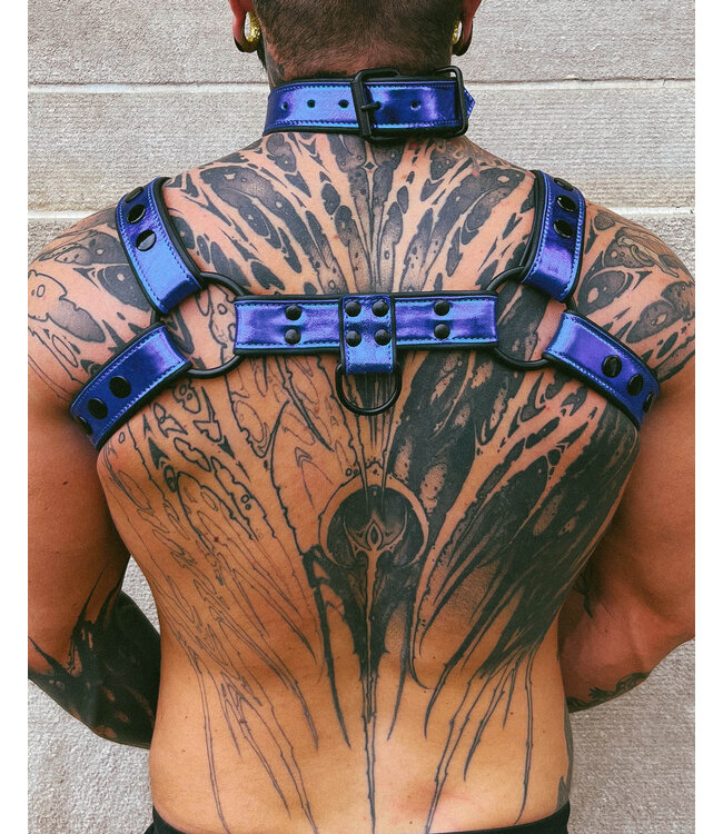 Bright Room Bulldog Leather Harness | Blue