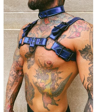 Spanked Bright Room Bulldog Leather Harness | Blue