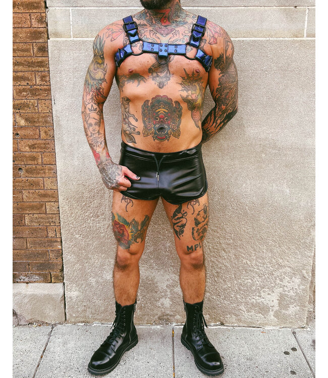 Bright Room Bulldog Leather Harness | Blue