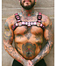 Spanked Bright Room Bulldog Leather Harness | Pink