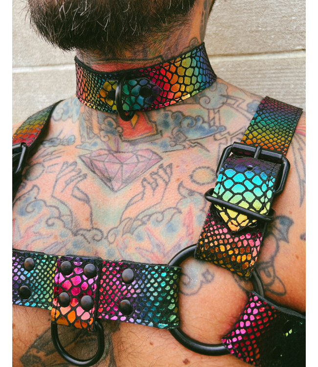 Bright Room Leather Collar